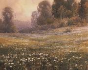 California landscape, unknow artist
